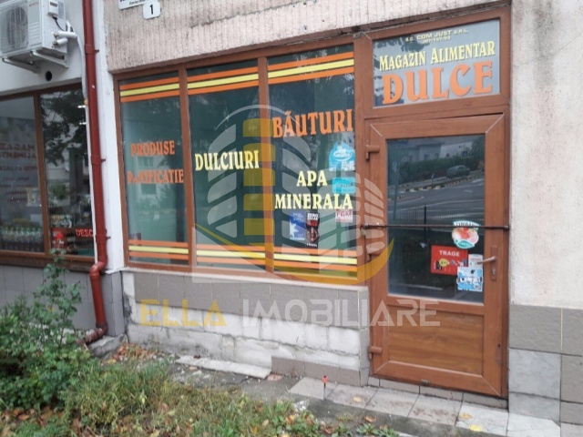Botosani,Romania,Spatiu comercial,1540