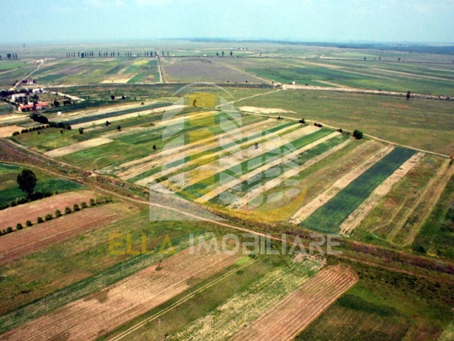 Botosani,Romania,Teren,1603