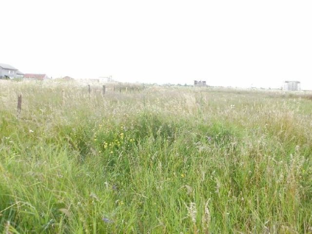Curtesti,Botosani,Romania,Teren,1940