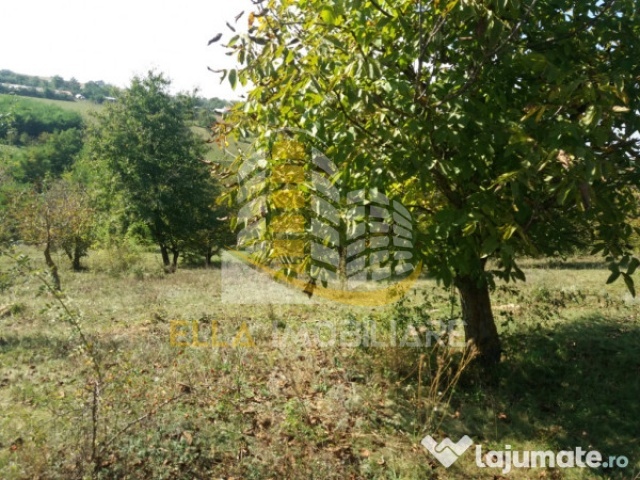 Curtesti, Botosani, Romania, ,Teren,De vanzare,2515