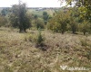 Curtesti, Botosani, Romania, ,Teren,De vanzare,2515