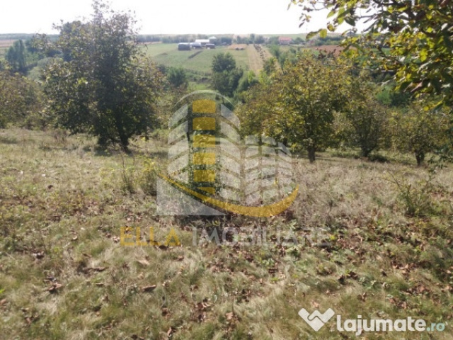 Curtesti, Botosani, Romania, ,Teren,De vanzare,2515